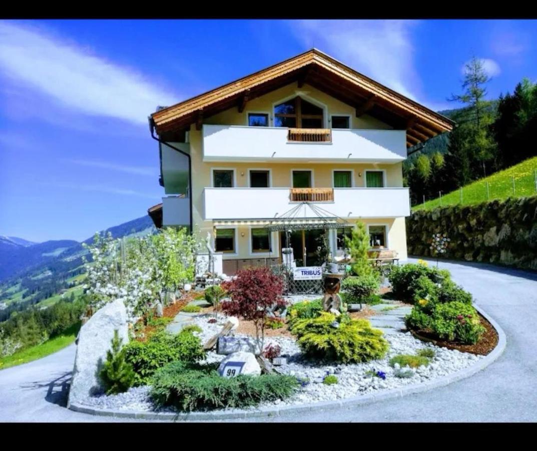 Ferienwohnungen Hinterstein Hart im Zillertal Dış mekan fotoğraf